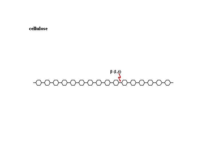 cellulose β (1, 4) 