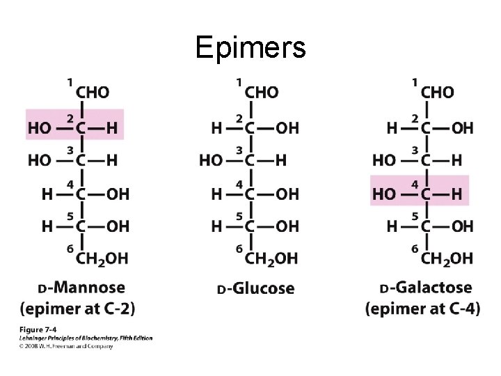 Epimers 