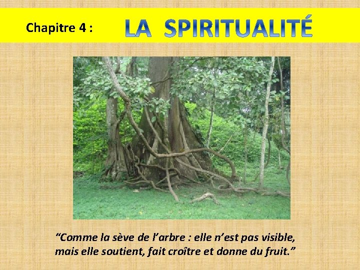 Chapitre 4 : “Comme la sève de l’arbre : elle n’est pas visible, mais