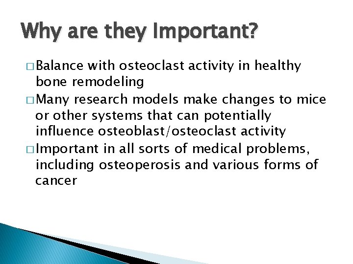 Why are they Important? � Balance with osteoclast activity in healthy bone remodeling �