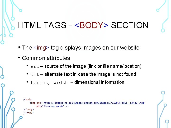 HTML TAGS - <BODY> SECTION • The <img> tag displays images on our website