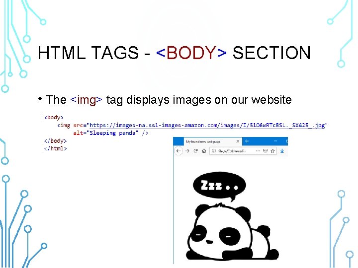 HTML TAGS - <BODY> SECTION • The <img> tag displays images on our website