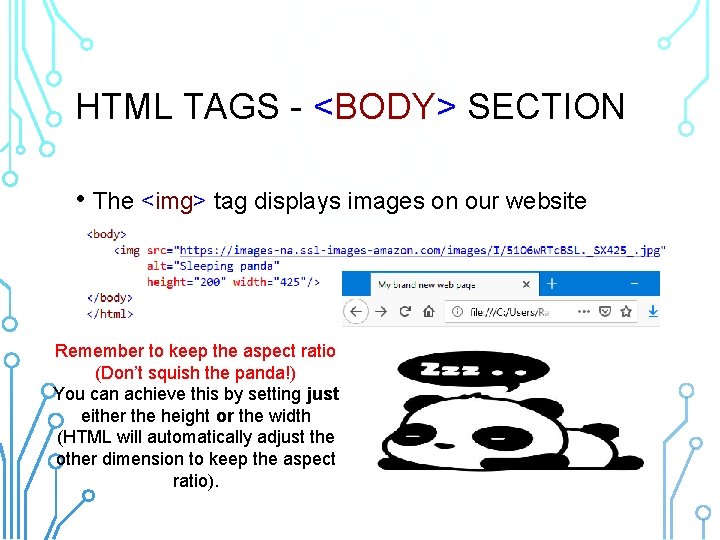 HTML TAGS - <BODY> SECTION • The <img> tag displays images on our website