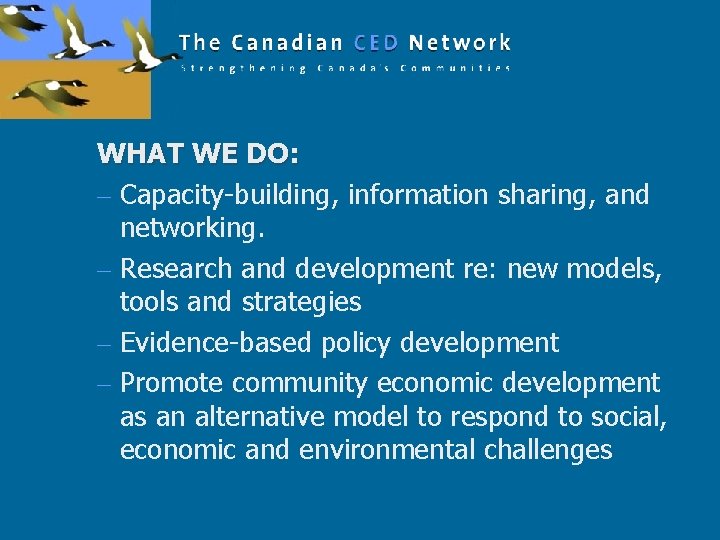 WHAT WE DO: – Capacity-building, information sharing, and networking. – Research and development re: