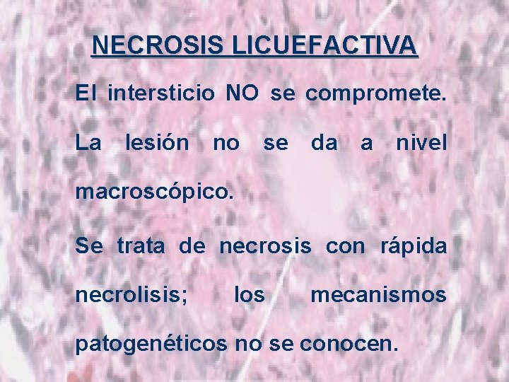 NECROSIS LICUEFACTIVA El intersticio NO se compromete. La lesión no se da a nivel