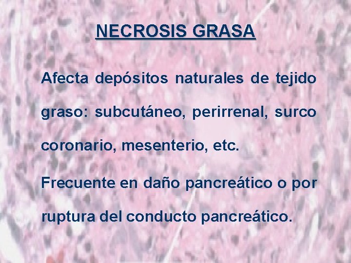 NECROSIS GRASA Afecta depósitos naturales de tejido graso: subcutáneo, perirrenal, surco coronario, mesenterio, etc.