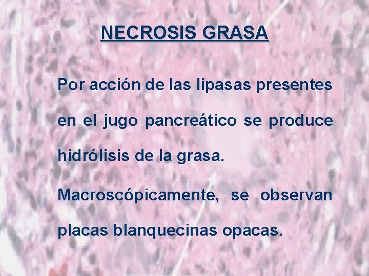 NECROSIS GRASA Por acción de las lipasas presentes en el jugo pancreático se produce