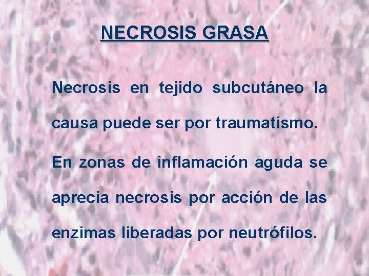 NECROSIS GRASA Necrosis en tejido subcutáneo la causa puede ser por traumatismo. En zonas