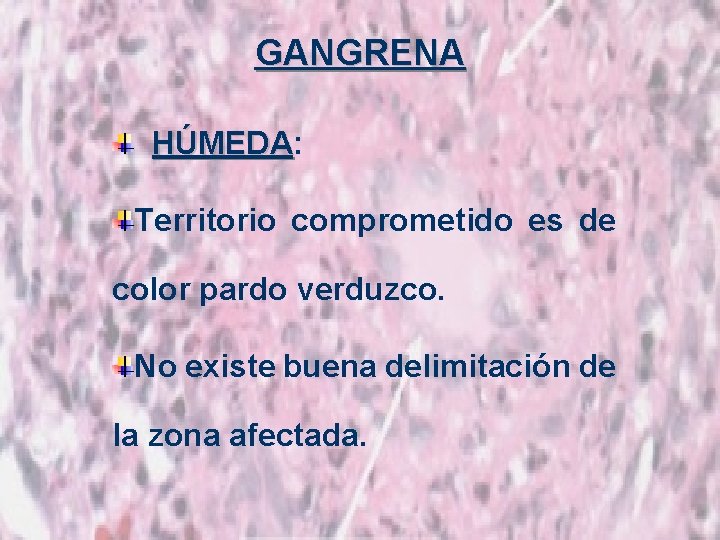 GANGRENA HÚMEDA: HÚMEDA Territorio comprometido es de color pardo verduzco. No existe buena delimitación