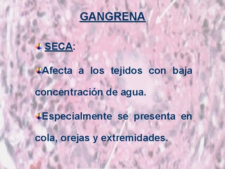 GANGRENA SECA: SECA Afecta a los tejidos con baja concentración de agua. Especialmente se