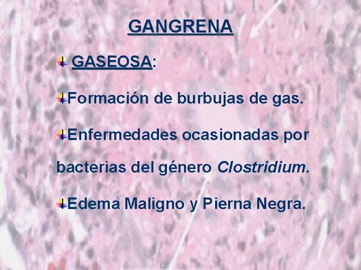 GANGRENA GASEOSA: GASEOSA Formación de burbujas de gas. Enfermedades ocasionadas por bacterias del género