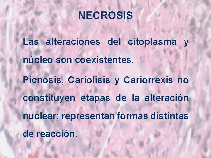 NECROSIS Las alteraciones del citoplasma y núcleo son coexistentes. Picnosis, Cariolisis y Cariorrexis no