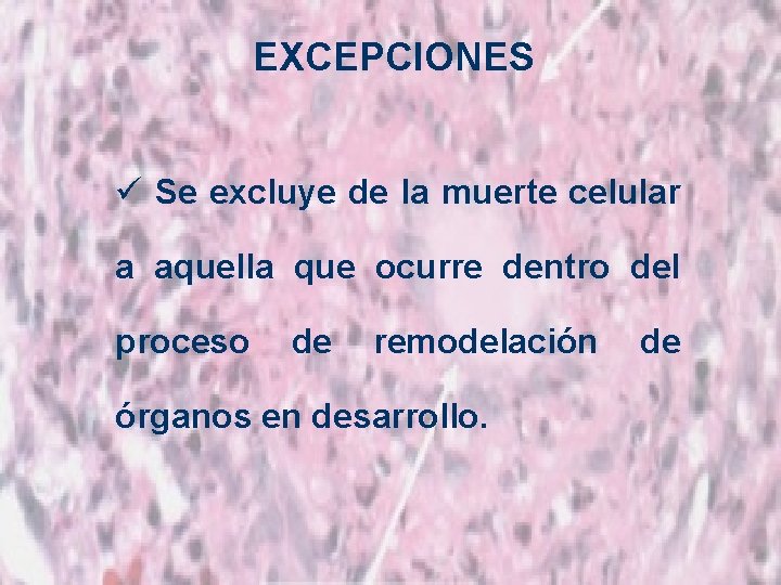 EXCEPCIONES ü Se excluye de la muerte celular a aquella que ocurre dentro del