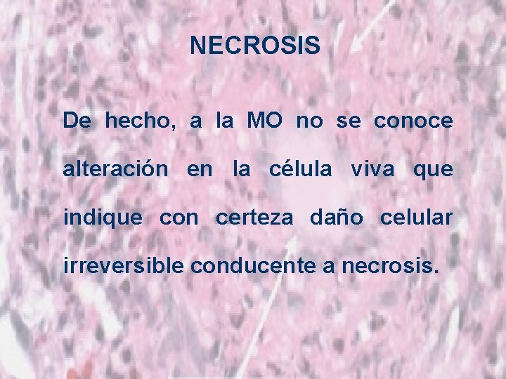 NECROSIS De hecho, a la MO no se conoce alteración en la célula viva