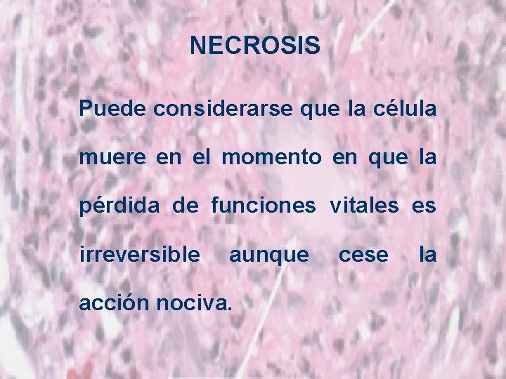 NECROSIS Puede considerarse que la célula muere en el momento en que la pérdida