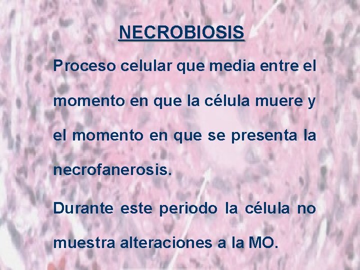 NECROBIOSIS Proceso celular que media entre el momento en que la célula muere y