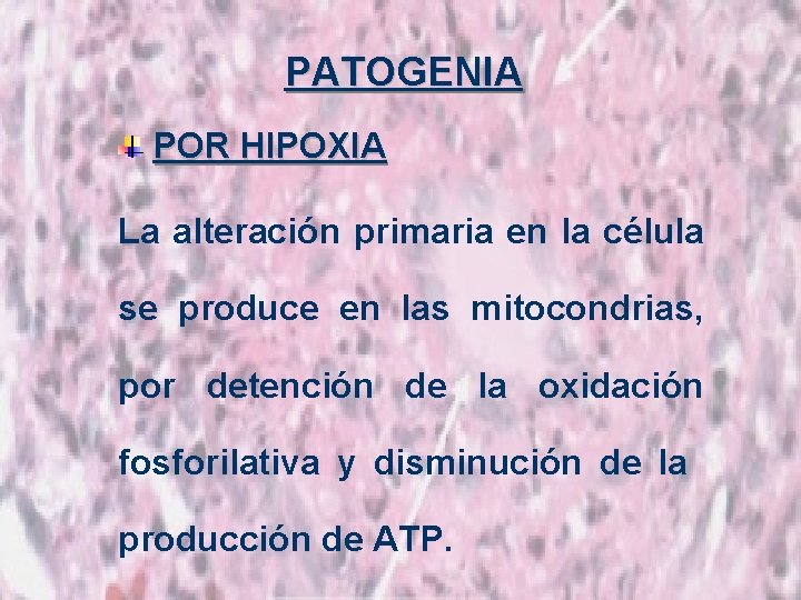 PATOGENIA POR HIPOXIA La alteración primaria en la célula se produce en las mitocondrias,