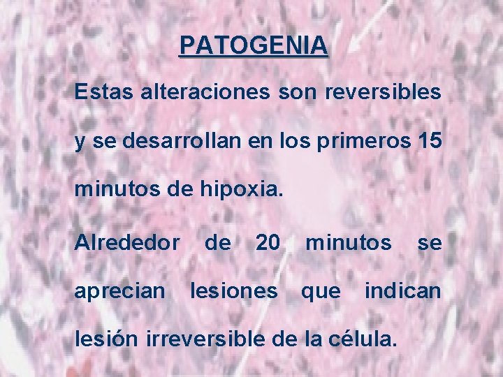 PATOGENIA Estas alteraciones son reversibles y se desarrollan en los primeros 15 minutos de