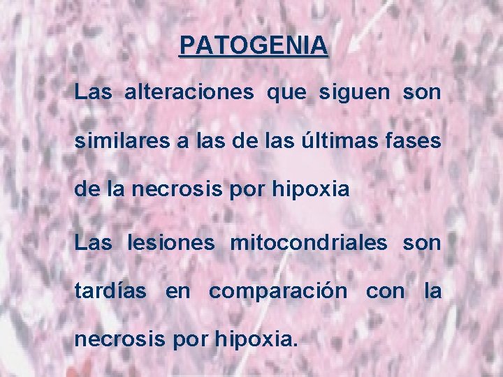 PATOGENIA Las alteraciones que siguen son similares a las de las últimas fases de
