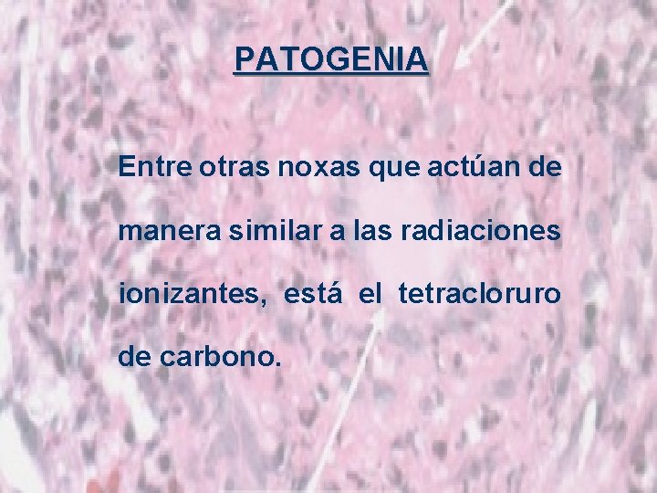 PATOGENIA Entre otras noxas que actúan de manera similar a las radiaciones ionizantes, está