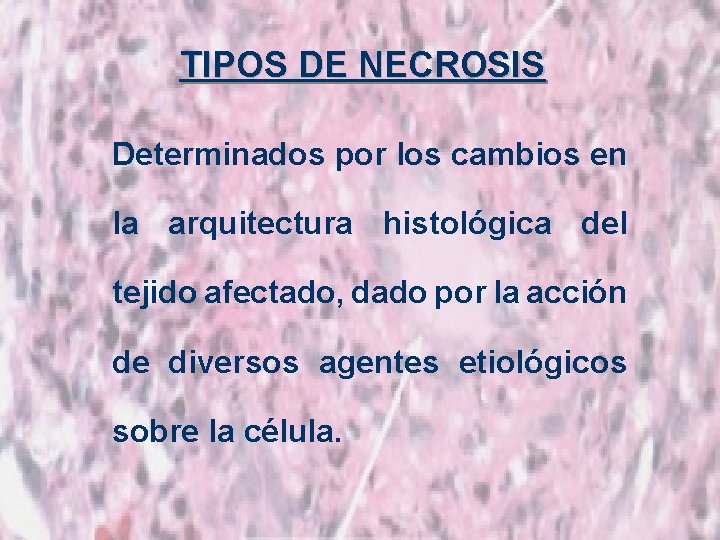 TIPOS DE NECROSIS Determinados por los cambios en la arquitectura histológica del tejido afectado,