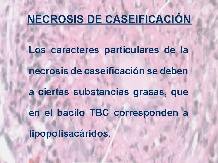 NECROSIS DE CASEIFICACIÓN Los caracteres particulares de la necrosis de caseificación se deben a