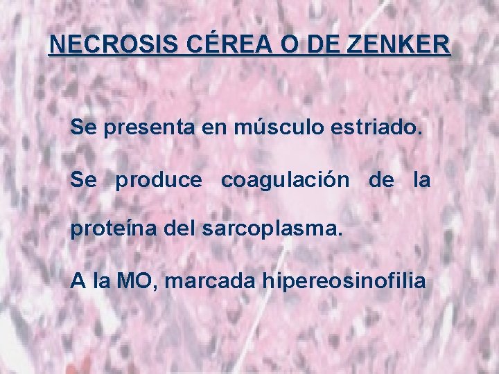 NECROSIS CÉREA O DE ZENKER Se presenta en músculo estriado. Se produce coagulación de