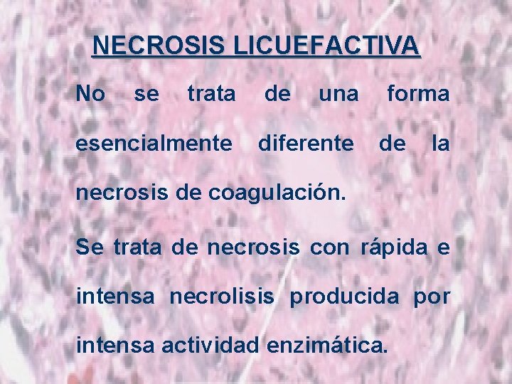 NECROSIS LICUEFACTIVA No se trata esencialmente de una diferente forma de la necrosis de