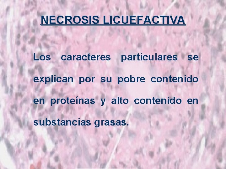 NECROSIS LICUEFACTIVA Los caracteres particulares se explican por su pobre contenido en proteínas y