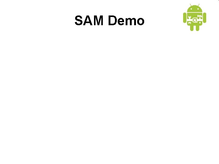 SAM Demo 