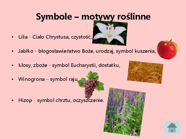 Symbole – motywy roślinne • Lilia - Ciało Chrystusa, czystość, • Jabłko - błogosławieństwo