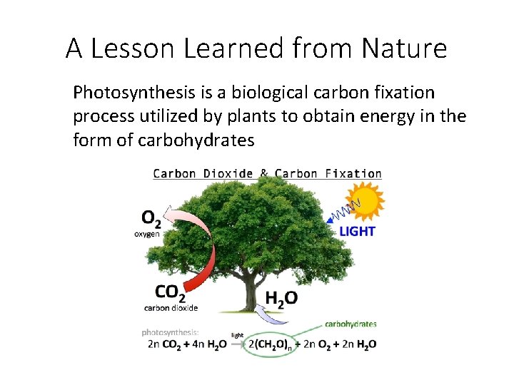 A Lesson Learned from Nature Photosynthesis is a biological carbon fixation process utilized by