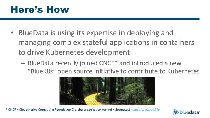Here’s How • Blue. Data is using its expertise in deploying and managing complex