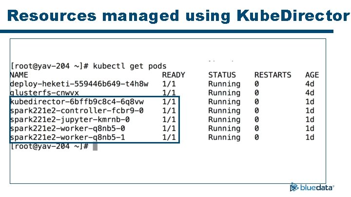Resources managed using Kube. Director 