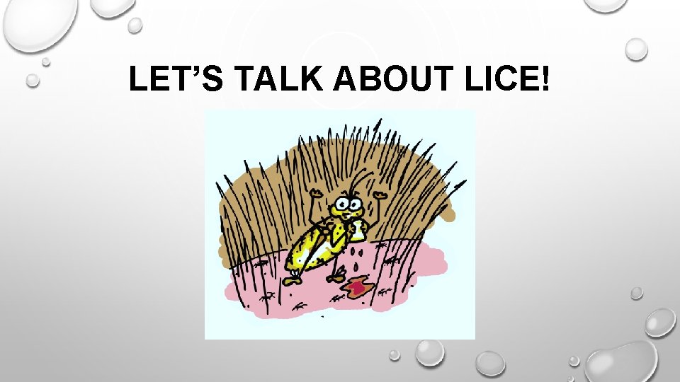 LET’S TALK ABOUT LICE! 