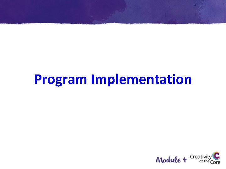 Program Implementation 