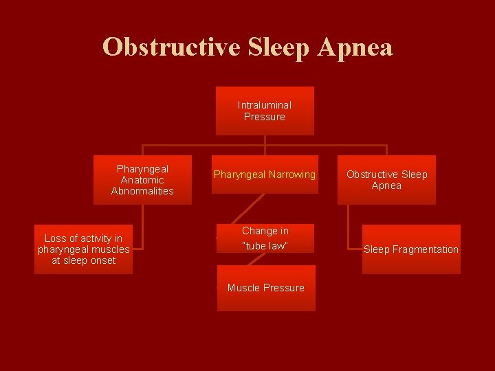 Obstructive Sleep Apnea Intraluminal Pressure Pharyngeal Anatomic Abnormalities Loss of activity in pharyngeal muscles