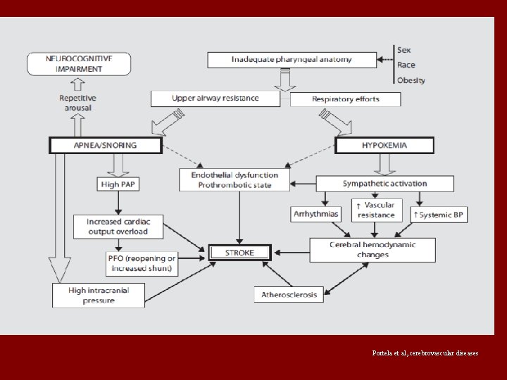 Portela et al, cerebrovascular diseases 