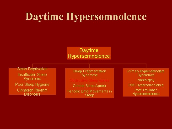 Daytime Hypersomnolence Sleep Deprivation Insufficient Sleep Syndrome Poor Sleep Hygiene Circadian Rhythm Disorders Sleep