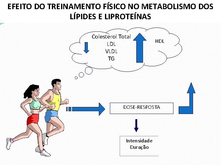 EFEITO DO TREINAMENTO FÍSICO NO METABOLISMO DOS LÍPIDES E LIPROTEÍNAS Colesterol Total LDL VLDL