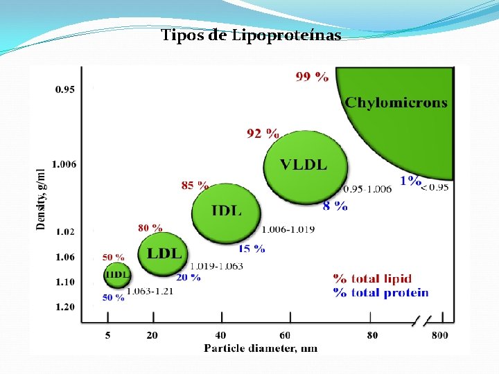 Tipos de Lipoproteínas 