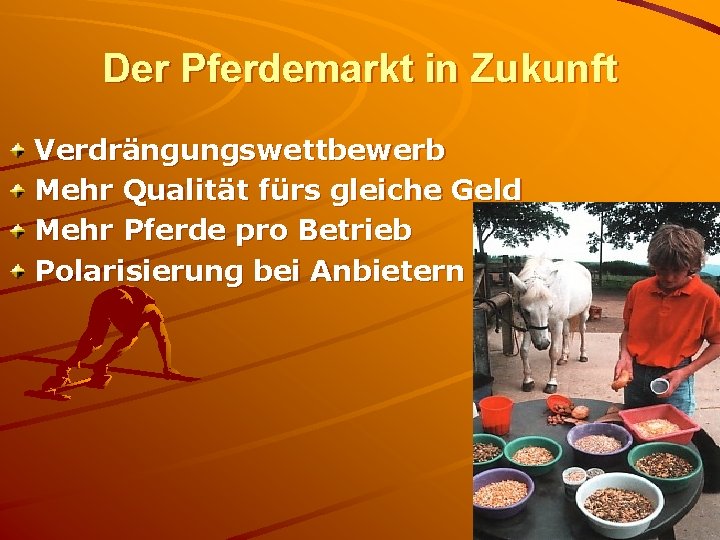 Der Pferdemarkt in Zukunft Verdrängungswettbewerb Mehr Qualität fürs gleiche Geld Mehr Pferde pro Betrieb