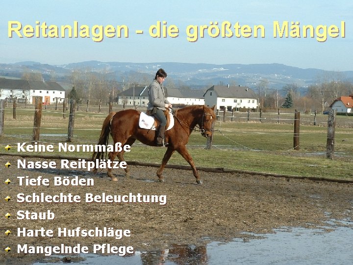 Reitanlagen - die größten Mängel Keine Normmaße Nasse Reitplätze Tiefe Böden Schlechte Beleuchtung Staub