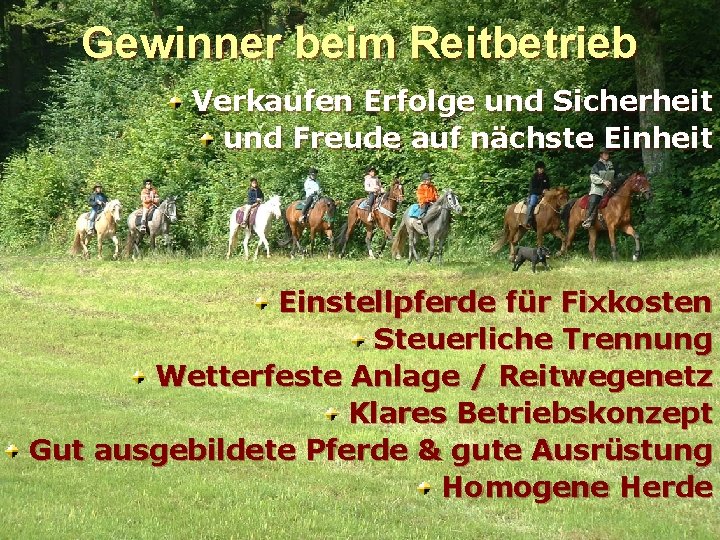 Gewinner beim Reitbetrieb Verkaufen Erfolge und Sicherheit und Freude auf nächste Einheit Einstellpferde für