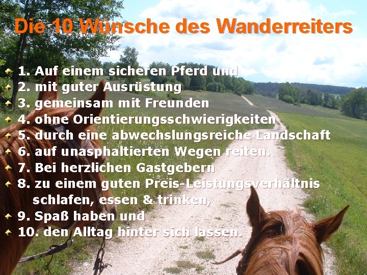 Die 10 Wünsche des Wanderreiters 1. Auf einem sicheren Pferd und 2. mit guter