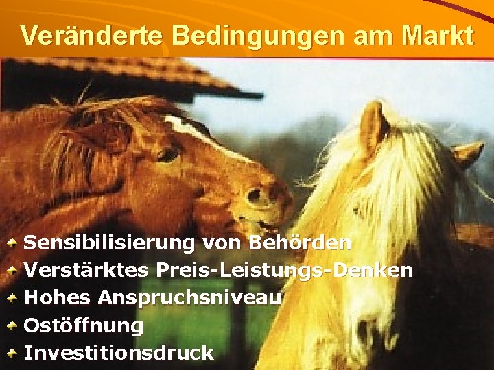 Veränderte Bedingungen am Markt Sensibilisierung von Behörden Verstärktes Preis-Leistungs-Denken Hohes Anspruchsniveau Ostöffnung Investitionsdruck 