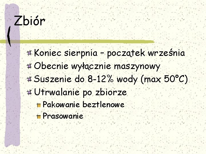 Zbiór Koniec sierpnia – początek września Obecnie wyłącznie maszynowy Suszenie do 8 -12% wody