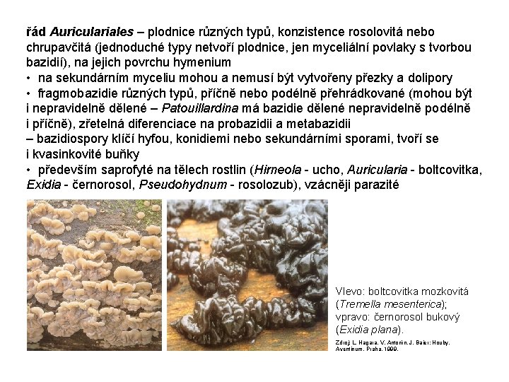 řád Auriculariales – plodnice různých typů, konzistence rosolovitá nebo chrupavčitá (jednoduché typy netvoří plodnice,