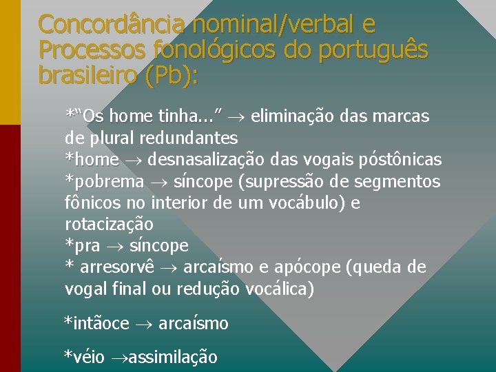 Concordância nominal/verbal e Processos fonológicos do português brasileiro (Pb): *“Os home tinha. . .