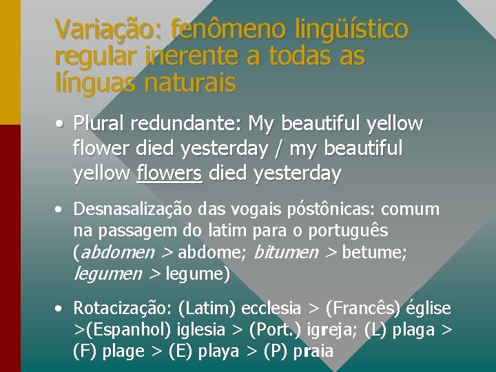 Variação: fenômeno lingüístico regular inerente a todas as línguas naturais • Plural redundante: My